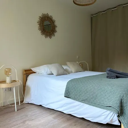 Le Patio : Appartement Chic 3 Chambres Au Coeur De Pau Extérieur photo